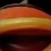 tgshane11